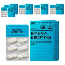웰릿 정품 메모리포스, 30정, 6개