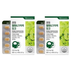 광동 혈행&기억력 징코, 60정, 2개