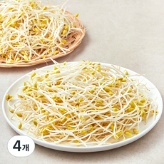 풀무원 국내산 무농약 인증 콩나물, 500g, 4개