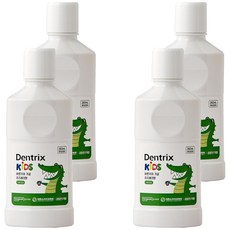 Dongkook 東國製藥 Dentrix 兒童東國製藥正直牙齒兒童漱口水, 260ml, 4個