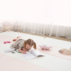 카라즈 뉴시크릿 폴더매트 2p, N핑크