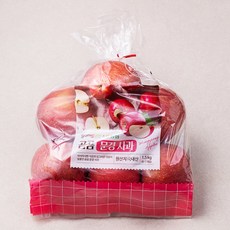 곰곰 농협 문경사과, 1.5kg(중과), 1봉