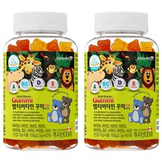 네추럴라이즈 멀티비타민 꾸미, 60정, 2개