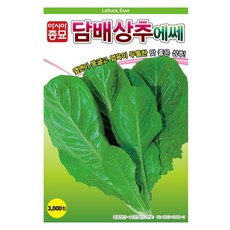 아시아종묘 담배상추에쎄 씨앗 3000립, 1개