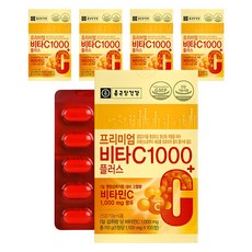 종근당건강 프리미엄 비타C 1000플러스, 100정, 5개