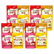 퓨어잇 내이브로 동결건조 과일칩 4종 세트, 4세트, 사과맛, 배맛, 딸기맛, 바나나맛