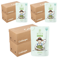 푸릇담 젊은농부 양배추즙, 5L, 6개