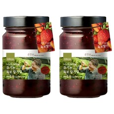 올가홀푸드 유기농 육보 딸기잼, 600g, 2개