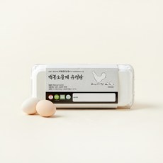 난각1번 백봉오골계 자연방목 유정란 300g, 10구, 1개