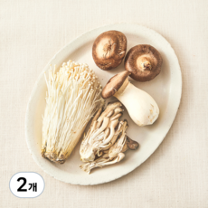 무농약인증 구이용 버섯 모음, 400g, 2개