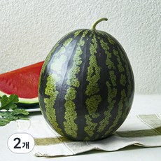 햇사레 다올찬 꿀수박, 5kg 이상, 2개