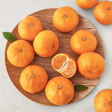 곰곰 고당도 13.5brix 천혜향 12~16입, 2.5kg(소과), 1박스