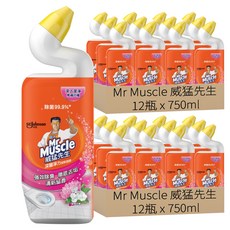 Mr Muscle 威猛先生 深層淨力潔廁凝膠 璀璨花舞 強效除臭 徹底去垢, 750ml, 24瓶
