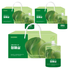 천호엔케어 하루활력 청매실 30p, 2.1L, 3개
