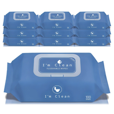 I'm Clean 可沖式濕式衛生紙, 100張, 10包, 60g