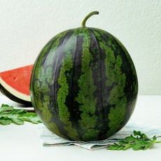 햇사레 다올찬 꿀수박, 8kg 이상, 1개