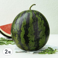 햇사레 다올찬 꿀수박, 8kg 이상, 2개