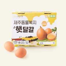 애월아빠들 동물복지 인증 제주 유정 햇달걀 760g, 1개, 20구