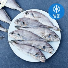 영광 백조기 오가 굴비 10미 (냉동), 1개, 1.2kg