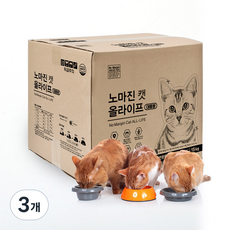 노마진 전연령 캣 올라이프 건식 사료, 곡물, 15kg, 3개