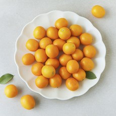 새벽경매 새콤달콤 금귤, 500g, 1팩