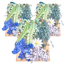 A-ONE 匯旺 乾燥花 C13 藍色療癒 3入, 3包