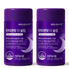 홀리데이즈 잔티젠핏 더 슬림, 28정, 2개