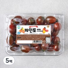 파인토 스테비아 미니쿠마토, 500g, 5팩