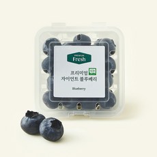 프리미엄 유기농 자이언트 블루베리, 100g, 1개