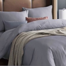 Prawear 巴麗維亞 50%天絲素色雙人兩用被床包組-霧迷