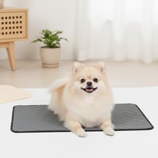 Petconomy 寵物可洗式尿布墊 黑色, 1入, 2個