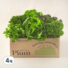 피움 무농약 인증 유러피안 샐러드 꾸러미, 1kg, 4개