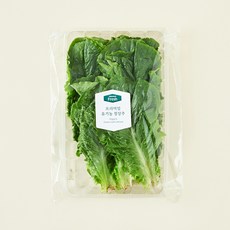 프리미엄 유기농 청상추, 120g, 1개