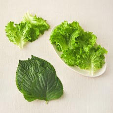 그린래빗 무농약 인증 카이피라 깻잎믹스, 100g, 1개