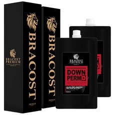 브라코스트 셀프 다운펌 손상모 + 시술도구 풀세트, 500ml, 2개