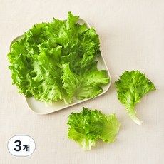 그린래빗 무농약 인증 카이피라, 100g, 3개