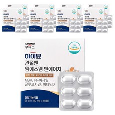 일동후디스 하이뮨 관절엔 엠에스엠 엔에이지 66g, 60정, 9개