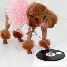 DEOPLLAE 寵物狗 Hello DJ 嗅聞墊 27cm, 銀色, 1個