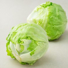 GAP인증 양상추, 1개