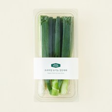 프리미엄 유기농 절단대파, 1개, 300g
