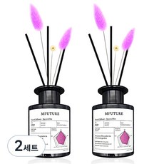 엠퓨처 프리미엄 화장실 실내 방향제 디퓨저 + 리드꽃 랜덤발송 2p 세트, 라벵드브레, 150ml, 2세트