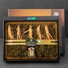 전북인삼농협 수삼 건홍삼슬라이스 선물세트, 수삼 300g + 홍삼 슬라이스 50g, 1박스