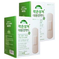 밴드골드 플러스 작은 상처 대용량 밴드 일반형, 100개입, 2개