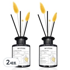 엠퓨처 프리미엄 화장실 실내 방향제 디퓨저 + 리드꽃 랜덤발송 2p 세트, 센슈얼05, 150ml, 2세트