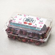 프레시몬 미국산 체리, 900g, 1개
