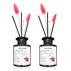엠퓨처 프리미엄 화장실 실내 방향제 디퓨저 + 리드꽃 랜덤발송 2p 세트, 딥체리, 150ml, 1개