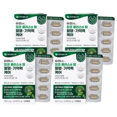 유한메디카 징코 플러스 엔 탑 혈행 기억력 케어 30g, 60정, 4개