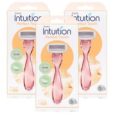 인튜이션 퍼펙트터치 제모기 + 여분날 2p 세트, 3세트
