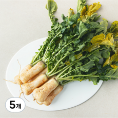 국내산 알타리무, 1kg, 5개