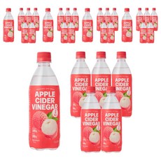 클룹 애사비 리치 제로 탄산음료, 30개, 500ml